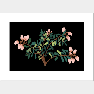 pink blossom Posters and Art